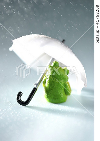 雨が降ってきました。 41768209