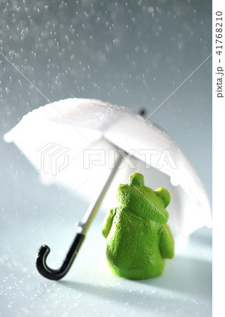 雨が降ってきました。 41768210