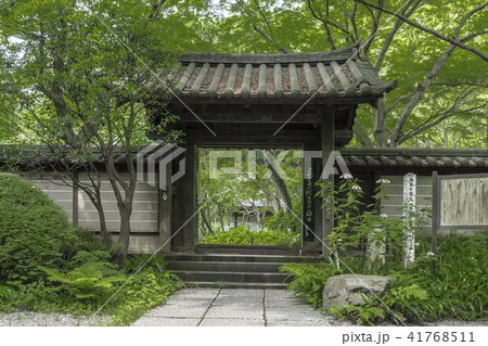 瑞泉寺の山門 (鎌倉市二階堂) 瑞泉寺の山門 (鎌倉市二階堂) 41768511