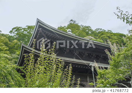瑞泉寺の本堂 (鎌倉市二階堂) 瑞泉寺の本堂 (鎌倉市二階堂) 41768772