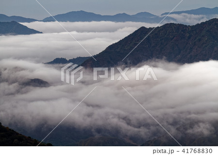 中禅寺湖南岸・阿世潟峠から見る朝の足尾方面の雲海 中禅寺湖南岸・阿世潟峠から見る朝の足尾方面の雲海 41768830