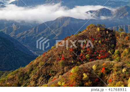中禅寺湖南岸・阿世潟峠から見る朝の足尾方面の紅葉の山並み 41768931