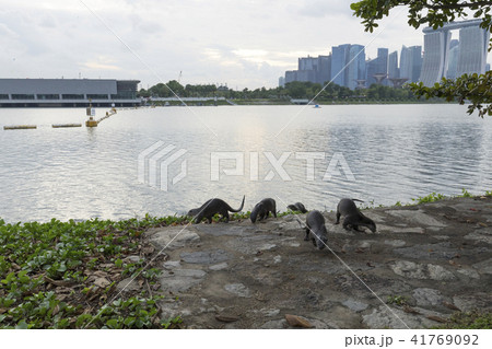 Gardens The Bay By East 41769092