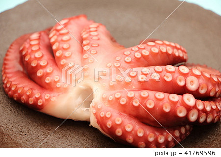 茹で蛸(ゆでだこ) 41769596