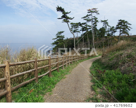 東尋坊に続く遊歩道 東尋坊に続く遊歩道 41769602