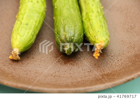 家庭菜園で収穫されたきゅうりの端部 家庭菜園で収穫されたきゅうりの端部 41769717