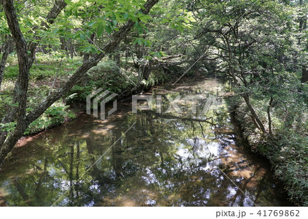 湯川03 日光国立公園 湯川03 日光国立公園 41769862
