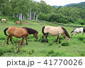 牧場の風景 41770026