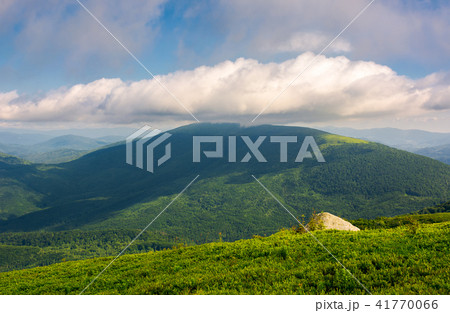 rocks on grassy hillside of Carpathian mountains 41770066