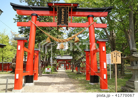 信州上田の春 生島足島神社 鳥居 信州上田の春 生島足島神社 鳥居 41770067