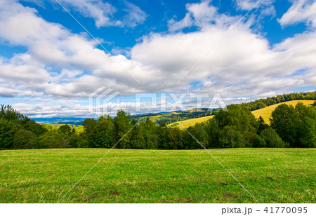 beautiful grassy meadow on hillside in mountains beautiful grassy meadow on hillside in mountains 41770095