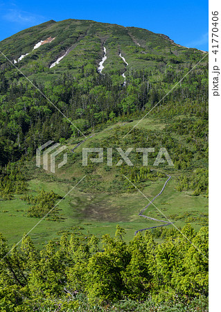 初夏の熊沢田代と燧ヶ岳 初夏の熊沢田代と燧ヶ岳 41770406