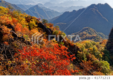 紅葉の鹿岳から見る四ツ又山と下仁田市街方面 41771213