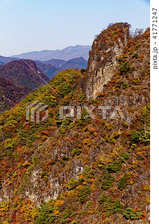 西上州・四ツ又山から見る紅葉の鹿岳 41771247
