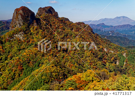 西上州・四ツ又山から見る紅葉の鹿岳と浅間山 41771317