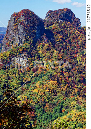 西上州・四ツ又山から見る紅葉の鹿岳 41771319