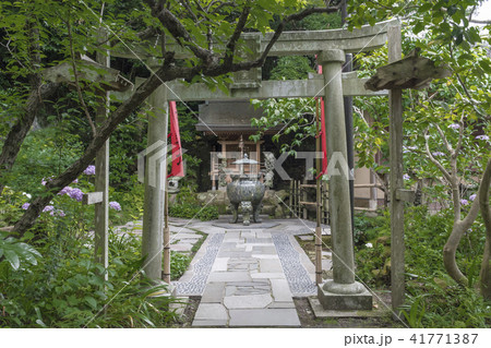 杉本寺の大蔵弁財天堂(鎌倉市二階堂) 杉本寺の大蔵弁財天堂(鎌倉市二階堂) 41771387