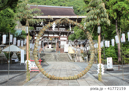 京都　松尾大社　茅の輪くぐり 41772159