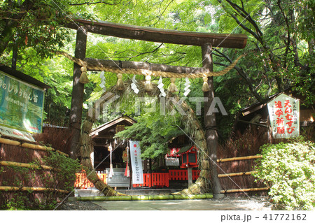 京都 野宮神社 茅の輪くぐり 京都 野宮神社 茅の輪くぐり 41772162