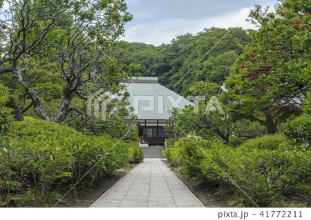 浄妙寺 (鎌倉市浄明寺) 浄妙寺 (鎌倉市浄明寺) 41772211