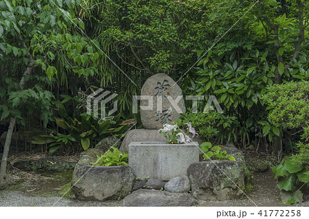 浄妙寺 の花塚（鎌倉市浄明寺） 41772258