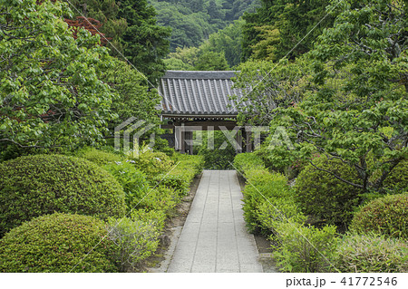 浄妙寺 （鎌倉市浄明寺） 41772546
