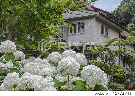 浄妙寺 のレストランとアナベル(鎌倉市浄明寺) 浄妙寺 のレストランとアナベル(鎌倉市浄明寺) 41772743