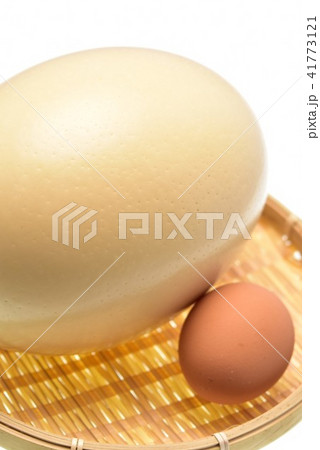 ダチョウの卵 ダチョウ抗体 コロナウイルス インフルエンザ ノロウイルス ダチョウの卵 ダチョウ抗体 コロナウイルス インフルエンザ ノロウイルス 41773121