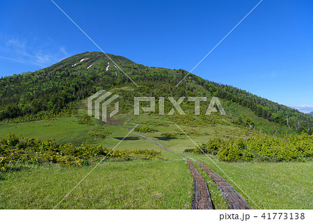 初夏の熊沢田代と燧ヶ岳 初夏の熊沢田代と燧ヶ岳 41773138