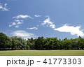 公園の芝生と青空 41773303