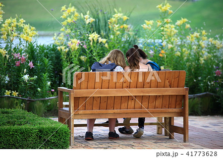 ユリ 処女 花 41773628