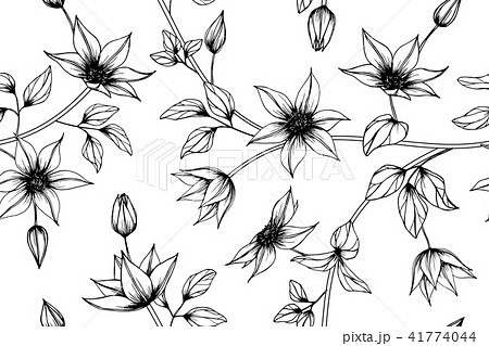 Seamless Clematis flower pattern background.  41774044