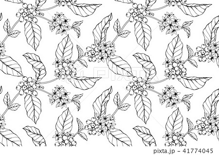 Seamless Coffee flower pattern background.  41774045