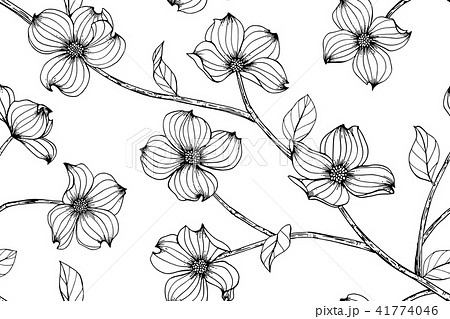 Seamless Dogwood flower pattern background.  41774046
