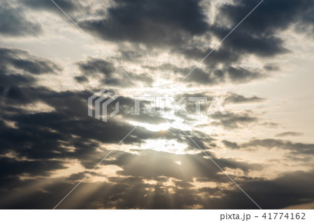 夕陽 41774162