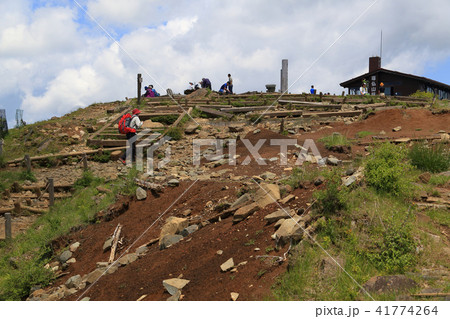 神奈川の塔ノ岳山頂を登山道から見る 41774264