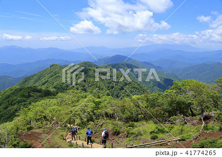 神奈川の塔ノ岳山頂付近から下山方向を俯瞰する 41774265