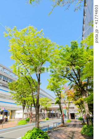 小倉駅北口付近の景観【福岡県北九州市】 小倉駅北口付近の景観【福岡県北九州市】 41774603