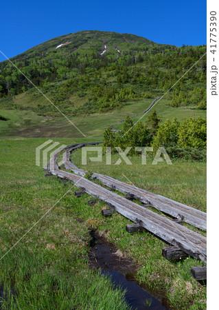 初夏の熊沢田代と燧ヶ岳 初夏の熊沢田代と燧ヶ岳 41775390