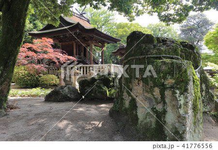 倉敷総鎮守の阿智神社の磐座 倉敷総鎮守の阿智神社の磐座 41776556