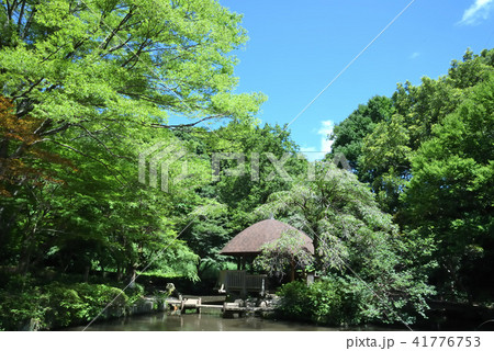 川崎市　宮前区　東高根森林公園 41776753