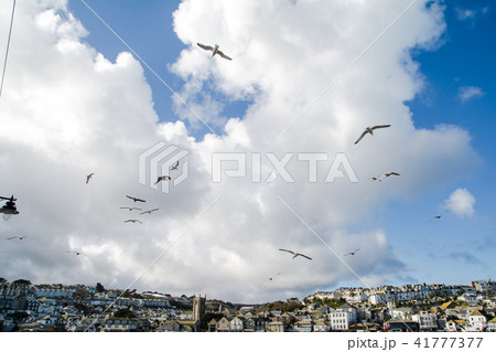 青空と雲の広々とした空を自由に飛び回るカモメたちと遠くに見える丘の上のイギリス郊外の街並み 41777377