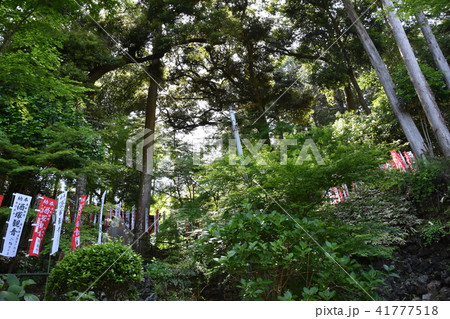 可睡斎 袋井市 可睡斎 袋井市 41777518
