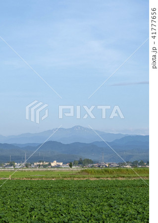 加賀平野と霊峰白山の遠望(石川県能美市 7月)03 加賀平野と霊峰白山の遠望(石川県能美市 7月)03 41777656