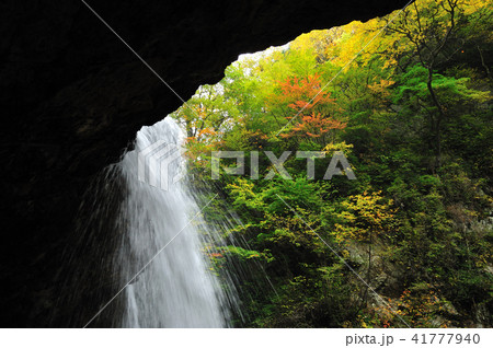 秋の雷滝 41777940