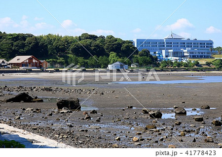 糸ヶ浜海浜公園 大分県 糸ヶ浜海浜公園 大分県 41778423