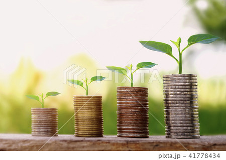 small tree growing step on coins. concept finance  41778434