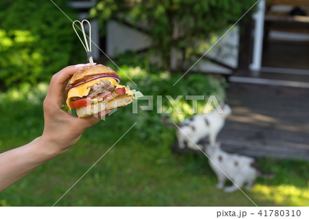 Woman's hand with a homemade burger. 41780310