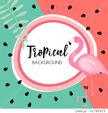 Cute Summer Abstract Frame Background with Pink Flamingo Vector Illustration 41780923