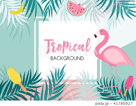 Cute Summer Abstract Frame Background with Pink Flamingo Vector Illustration 41780927